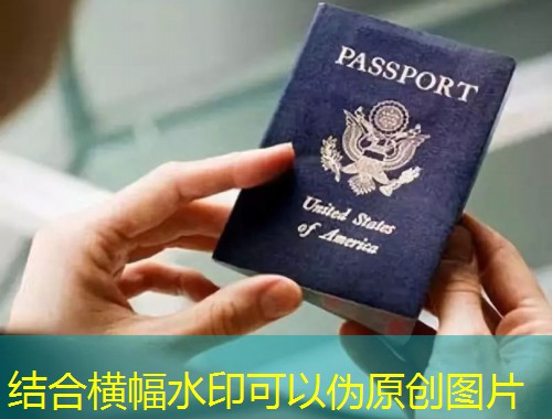 汉德欧移民官网：深耕移民服务13年，以专业铸就行业标杆